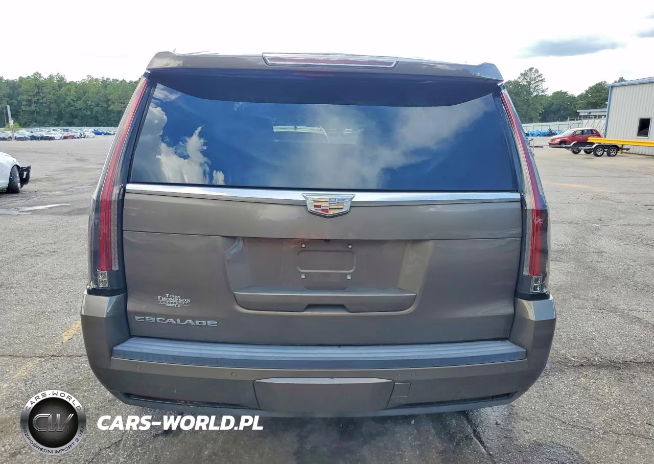 2015 Cadillac Escalade Luxury VIN:1GYS3MKJ6FR558480 - 6
