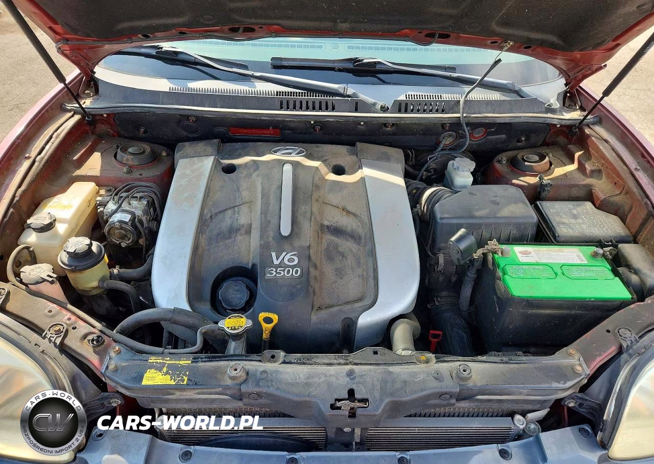 2004 Hyundai Santa Fe Gls VIN:KM8SC13E84U700078 - 11