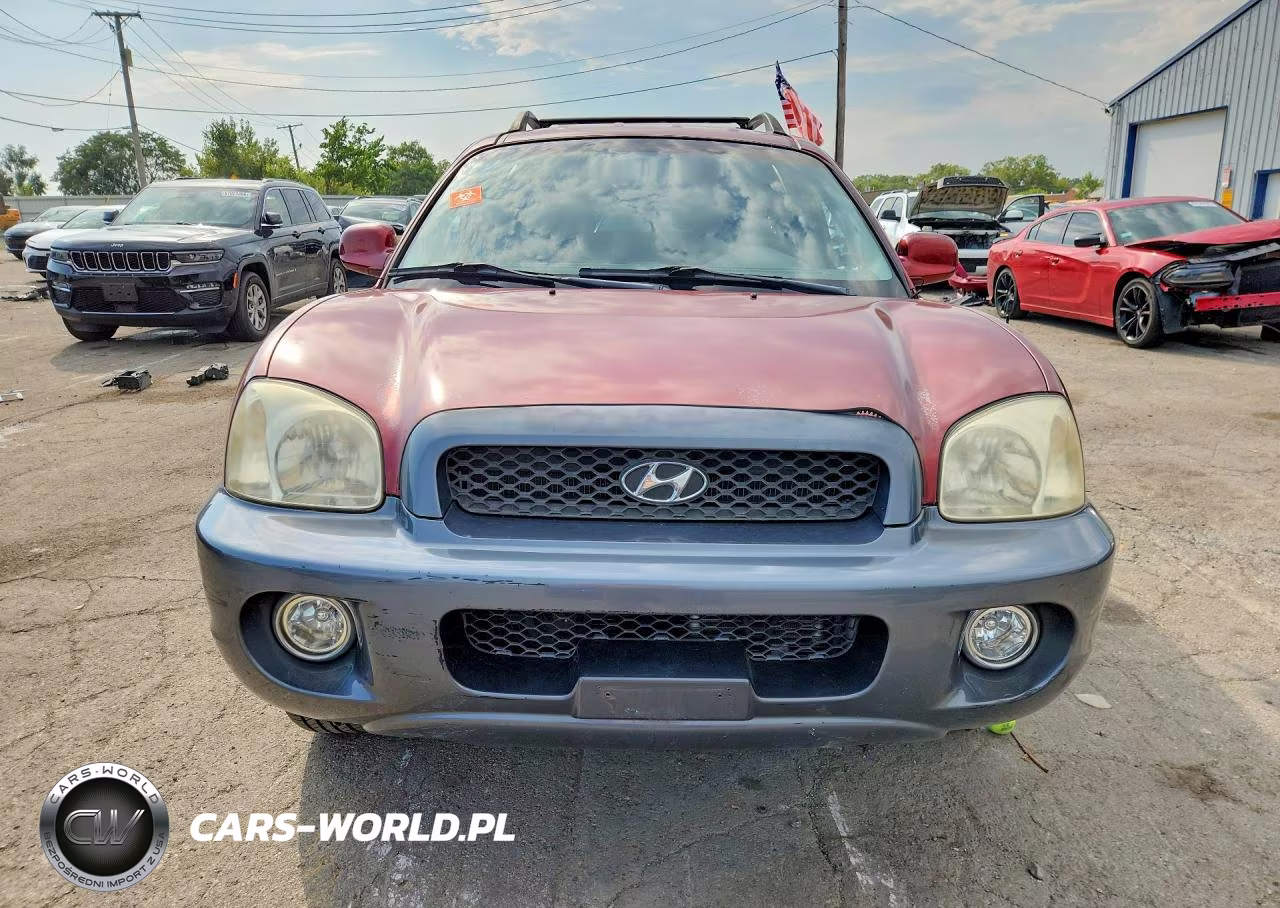 2004 Hyundai Santa Fe Gls VIN:KM8SC13E84U700078 - 5