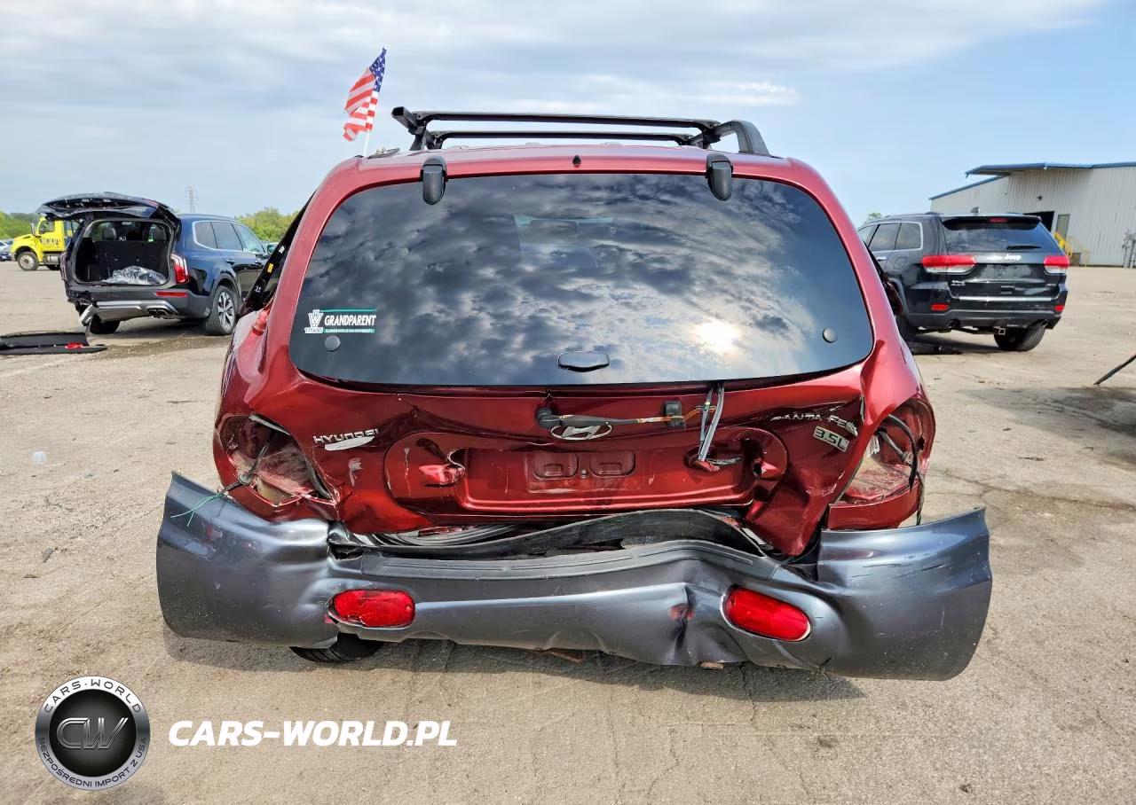 2004 Hyundai Santa Fe Gls VIN:KM8SC13E84U700078 - 6