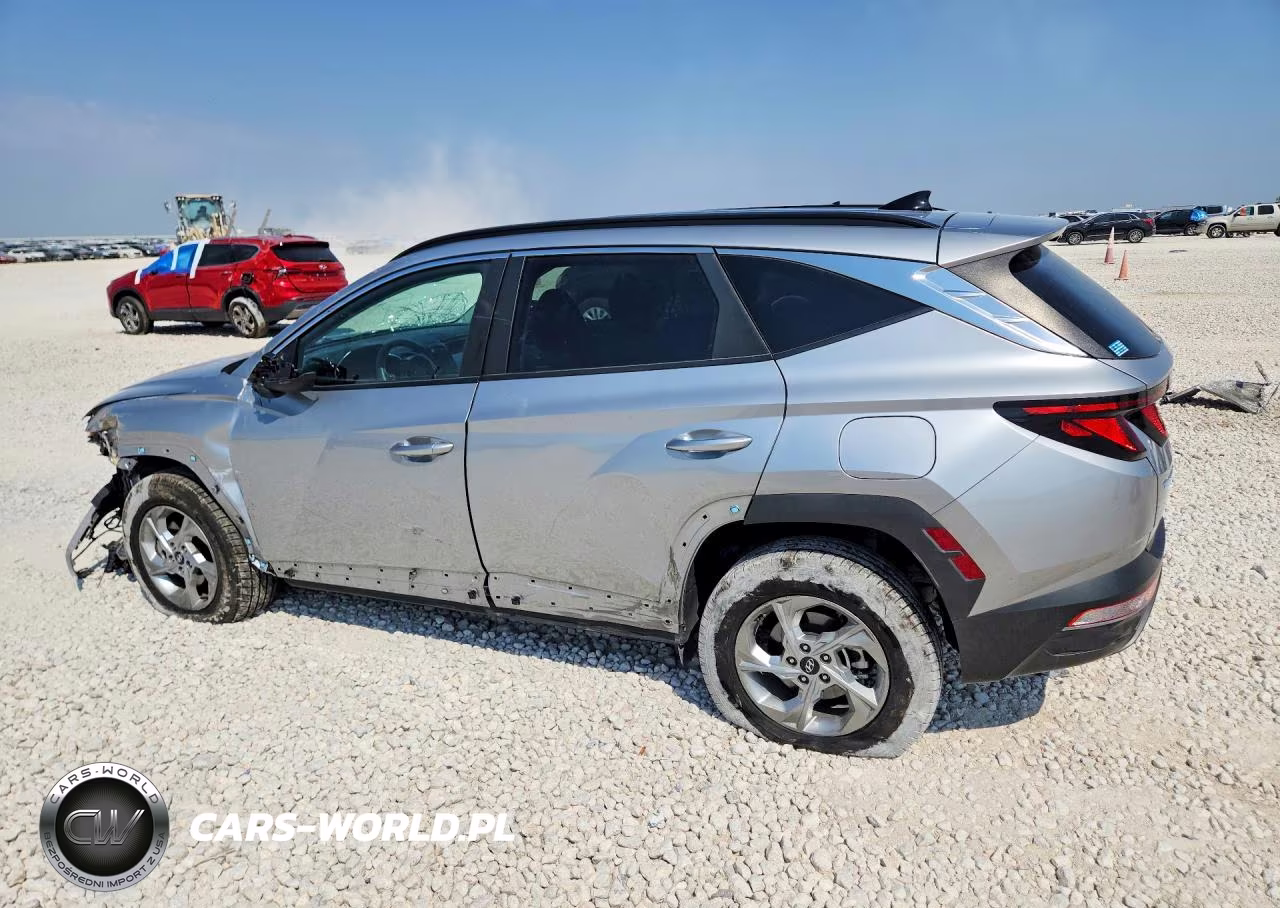2024 Hyundai Tucson Sel VIN:5NMJBCDE0RH387197 - 2