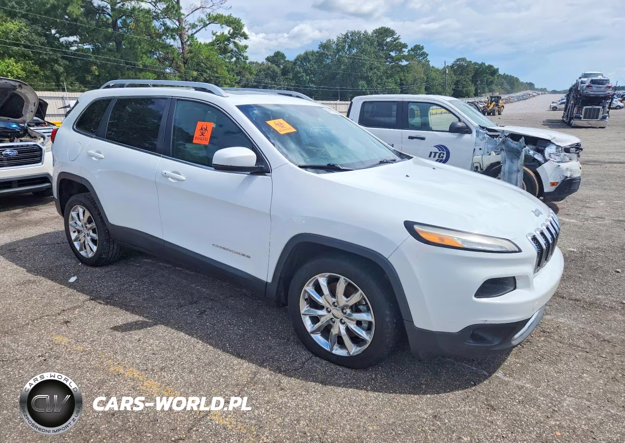 2014 Jeep Cherokee Limited VIN:1C4PJLDS5EW256146 - 4