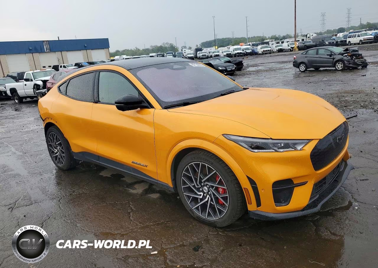 2021 Ford Mustang Mach-E Gt VIN:3FMTK4SXXMME00056 - 4