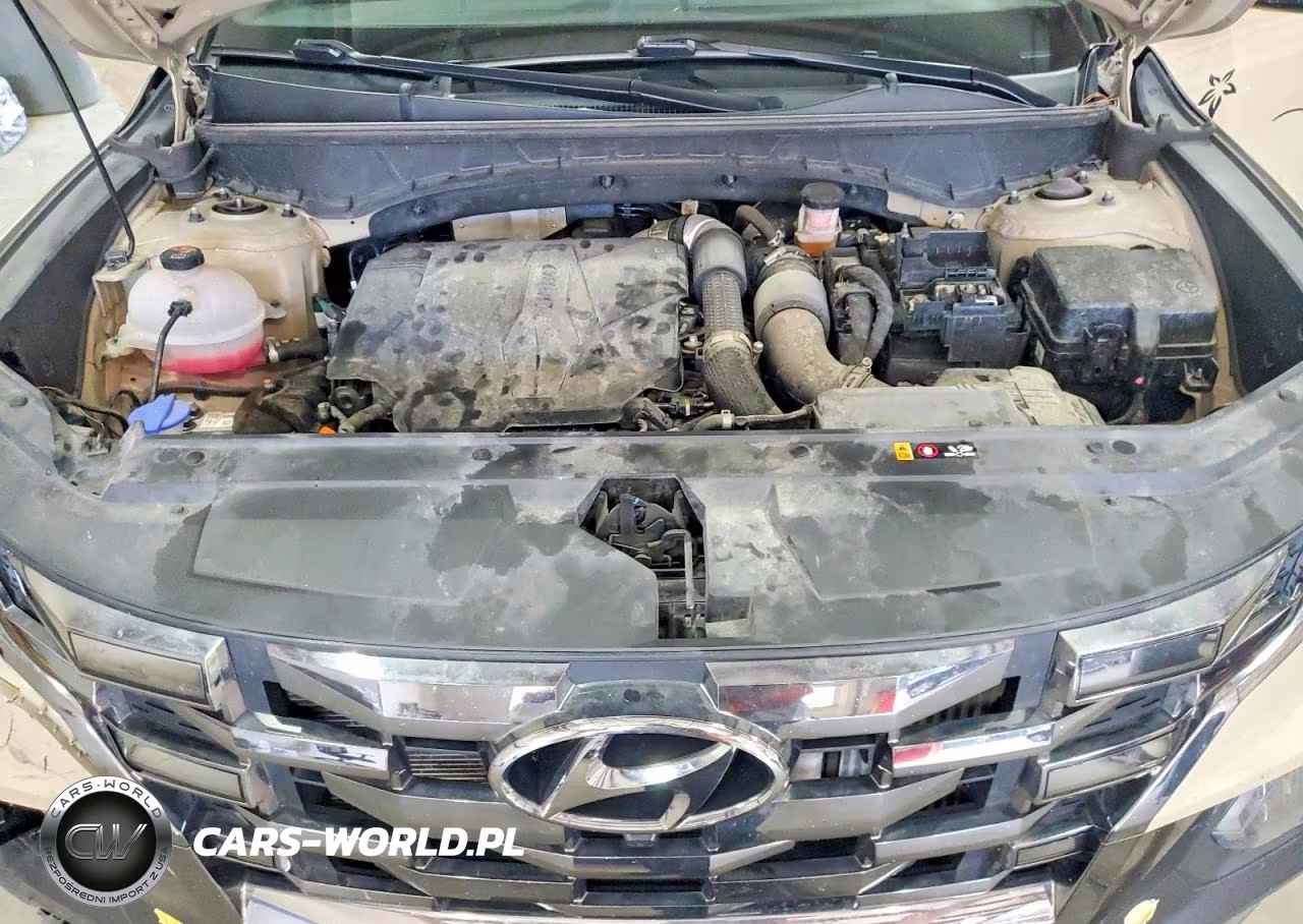 2024 Hyundai Santa Cruz Limited VIN:5NTJEDDF5RH110247 - 11