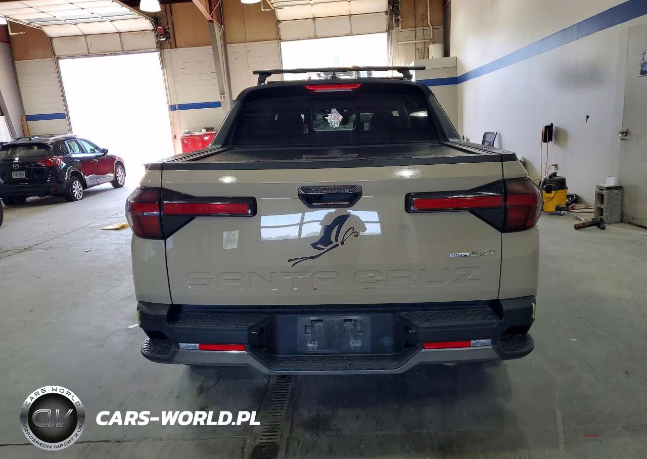 2024 Hyundai Santa Cruz Limited VIN:5NTJEDDF5RH110247 - 6