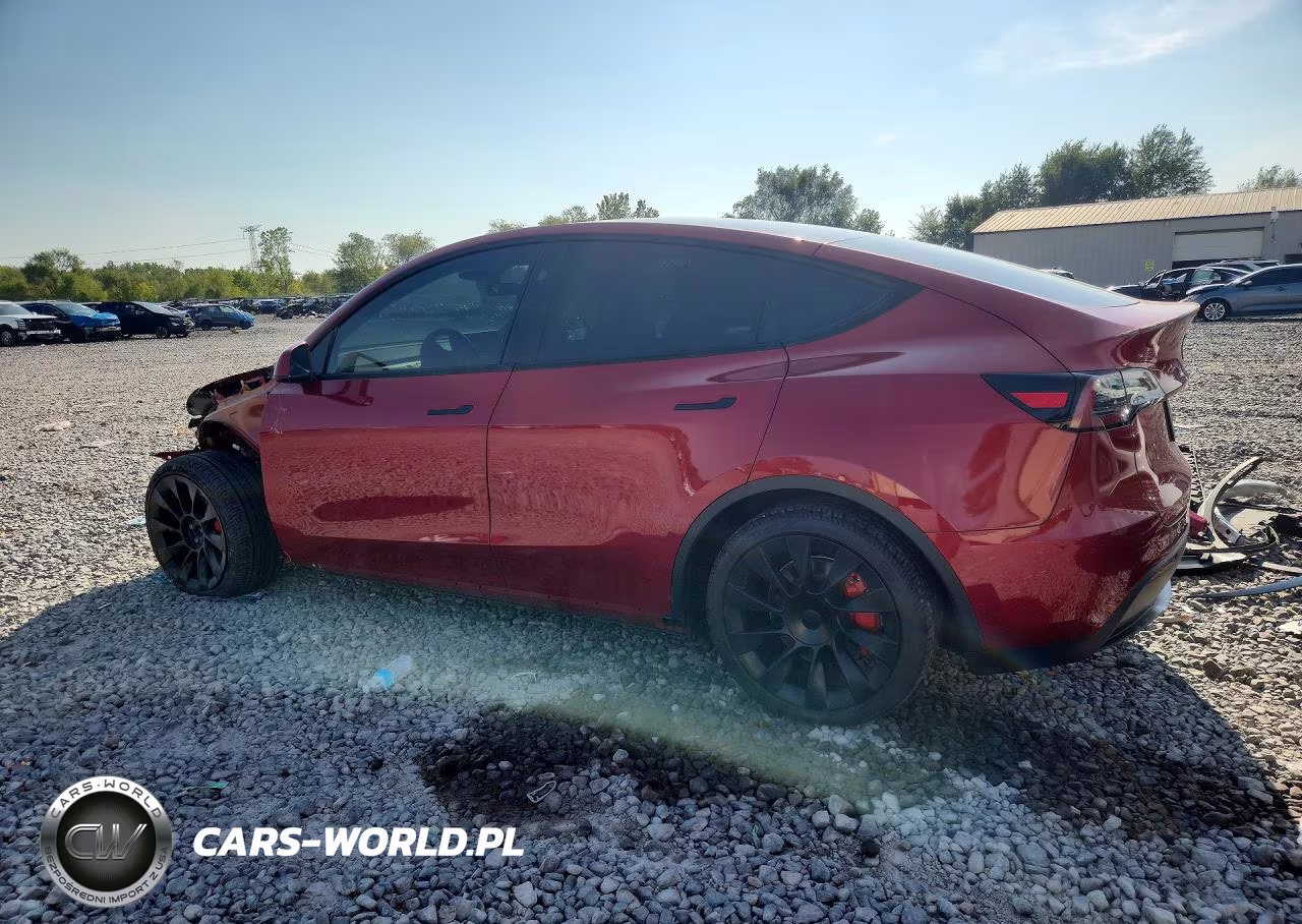 2025 Tesla Model Y VIN:7SAYGDEE4SF264047 - 2