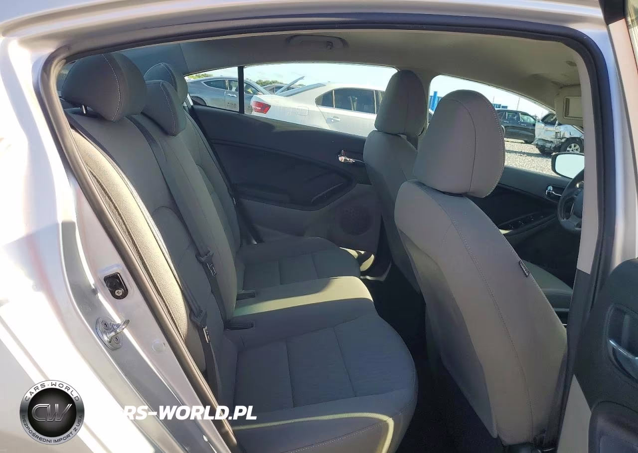 2014 Kia Forte Lx VIN:KNAFK4A63E5173436 - 10