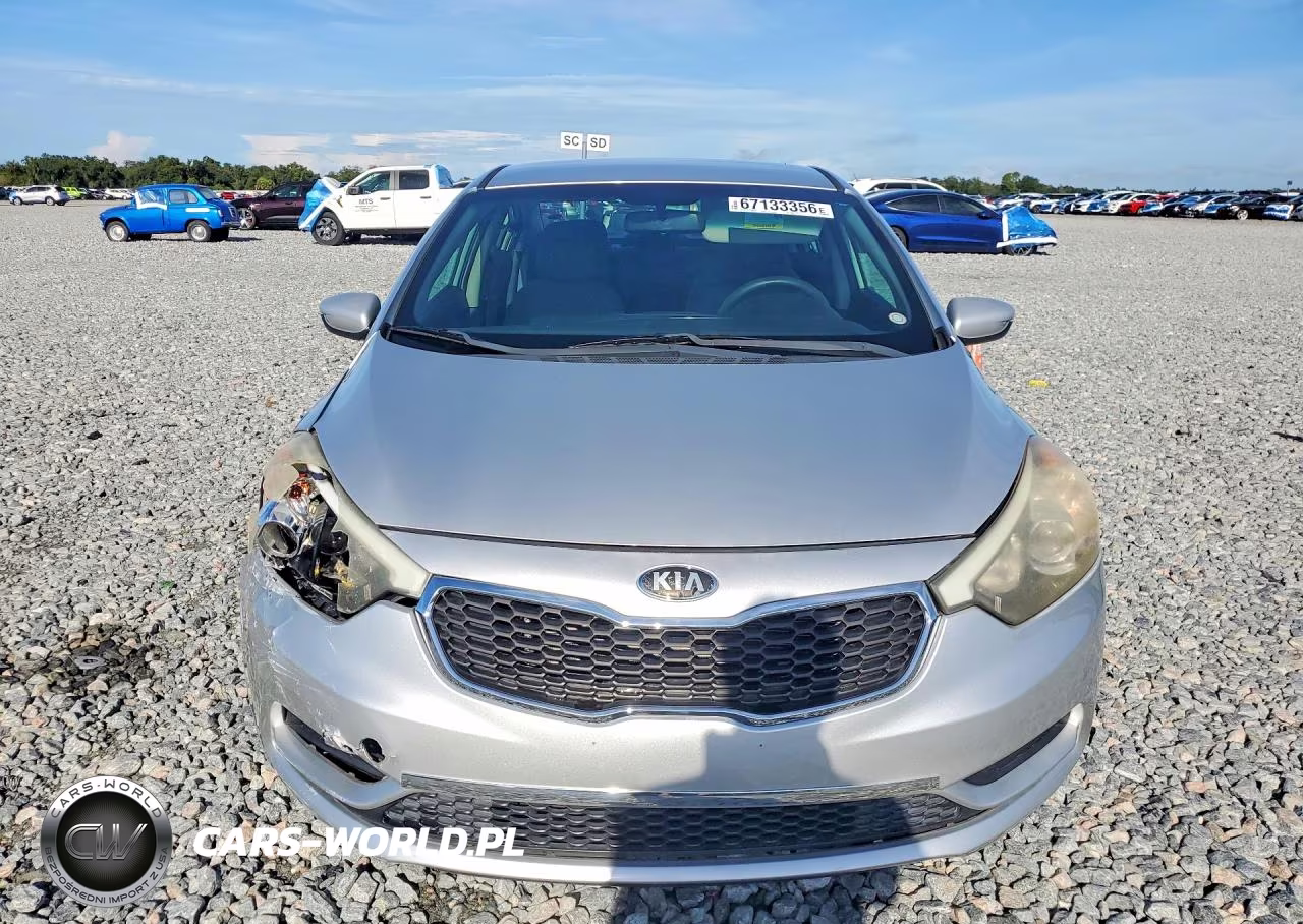 2014 Kia Forte Lx VIN:KNAFK4A63E5173436 - 5