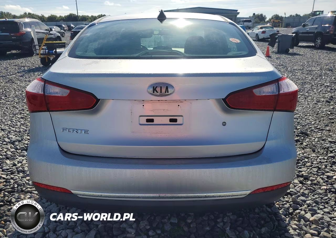 2014 Kia Forte Lx VIN:KNAFK4A63E5173436 - 6