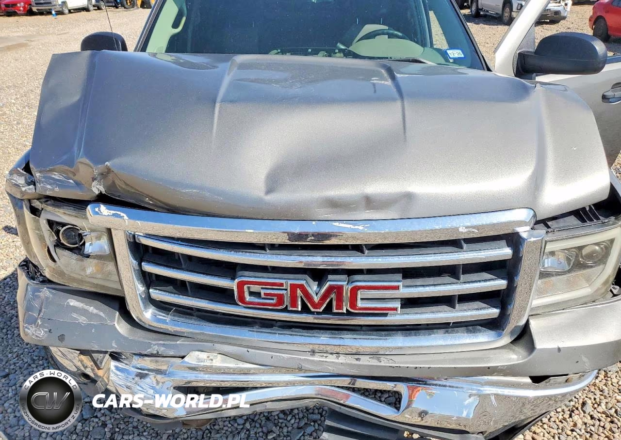 2009 GMC Sierra C1500 VIN:3GTEC13C29G259333 - 11