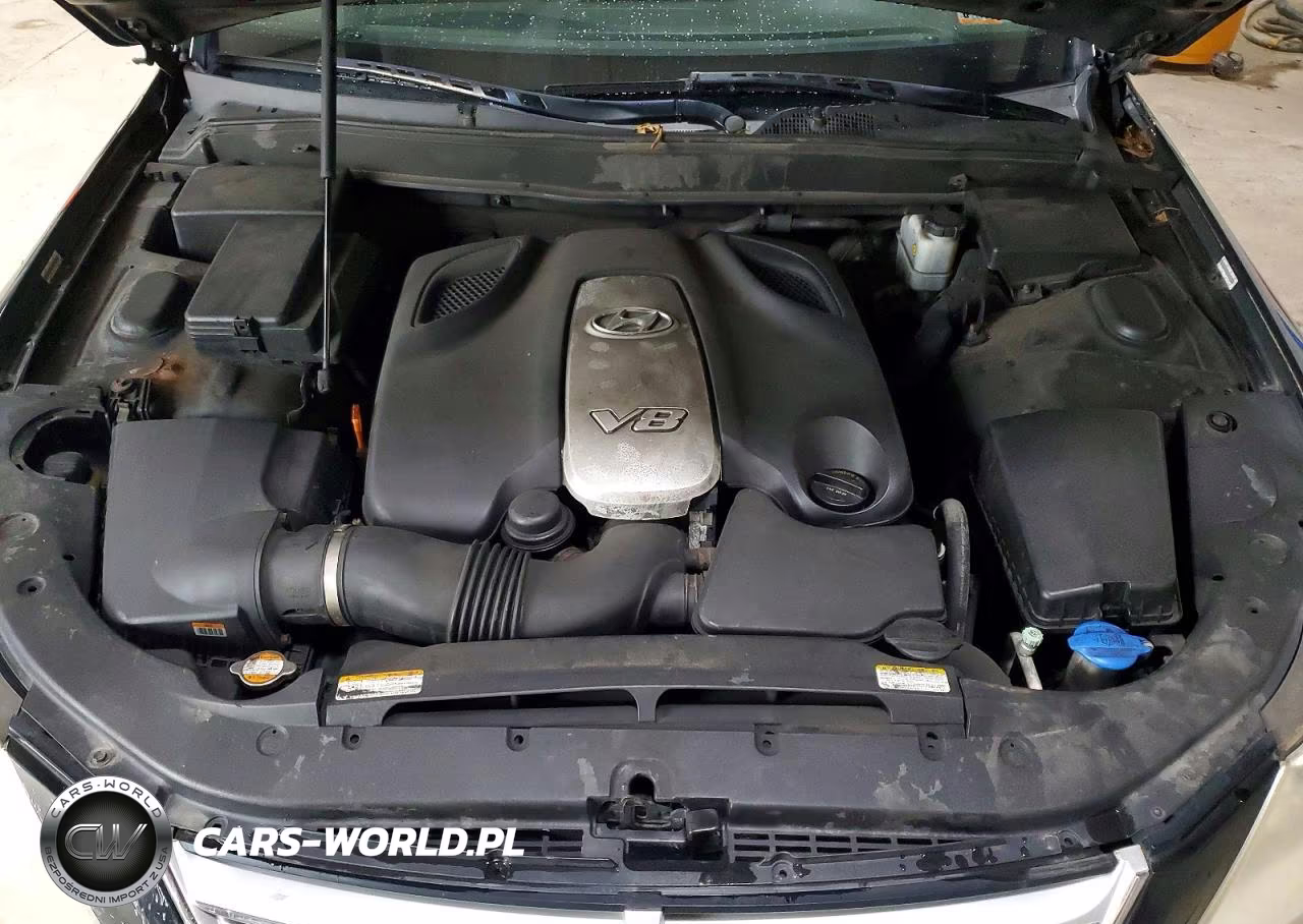 2009 Hyundai Genesis 4.6L VIN:KMHGC46F79U055667 - 11