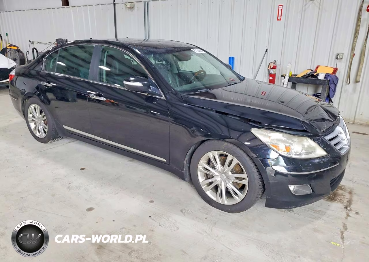 2009 Hyundai Genesis 4.6L VIN:KMHGC46F79U055667 - 4