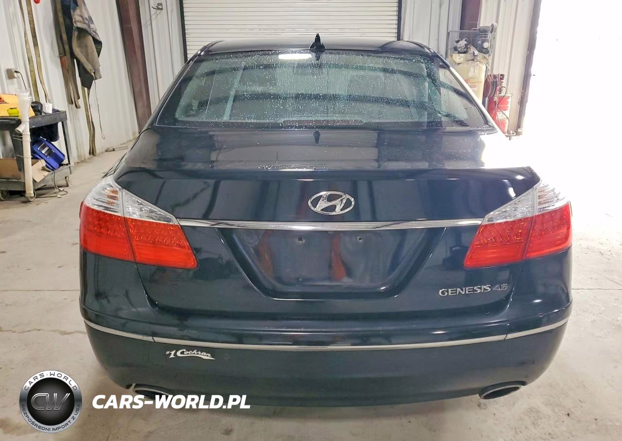 2009 Hyundai Genesis 4.6L VIN:KMHGC46F79U055667 - 6