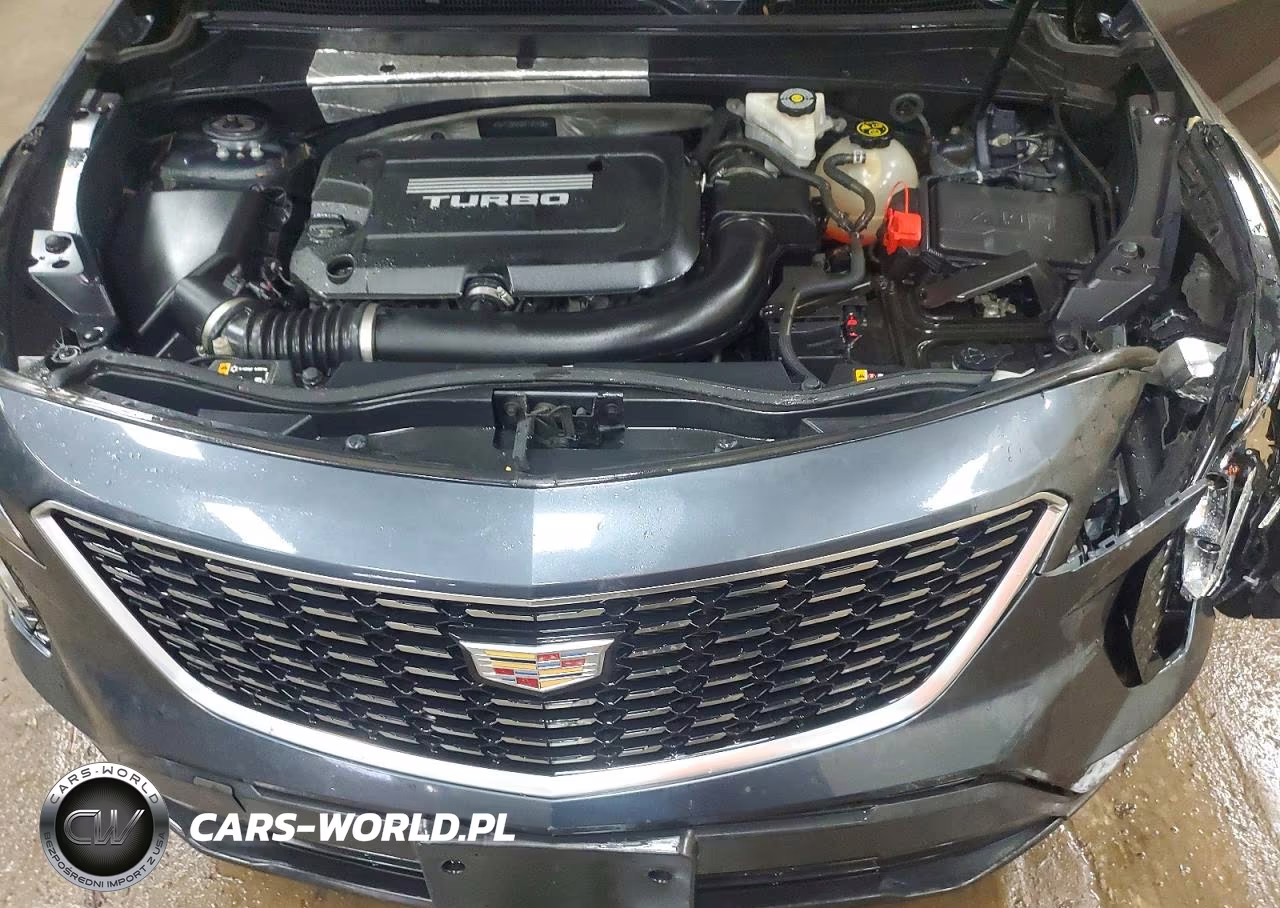 2019 Cadillac Xt4 Luxury VIN:1GYFZBR43KF101478 - 12