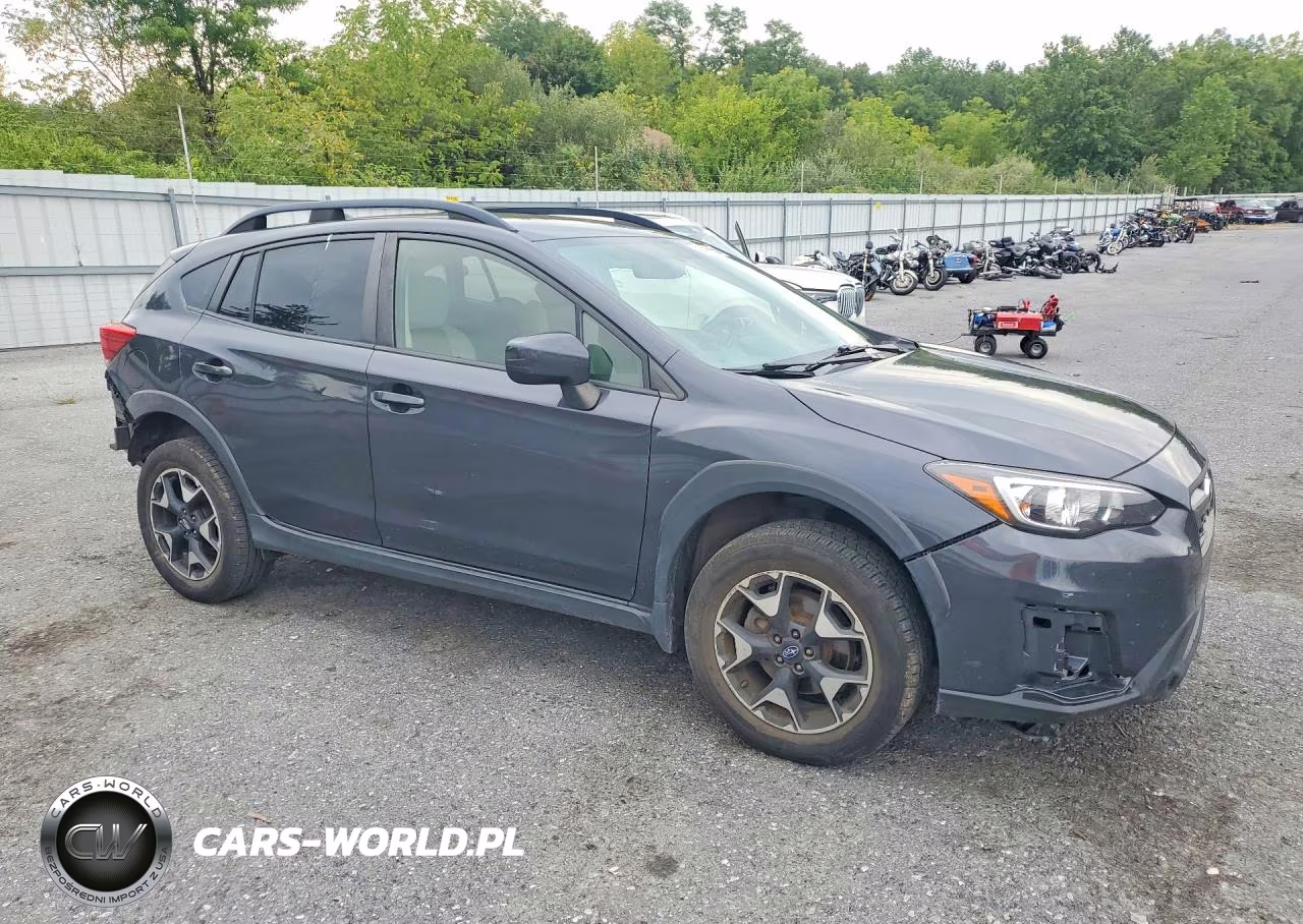 2019 Subaru Crosstrek Premium VIN:JF2GTACC6K8391114 - 4