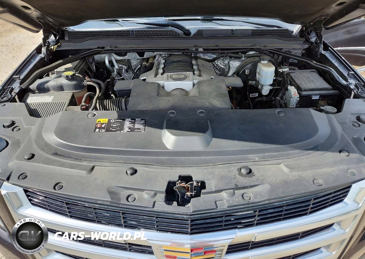 2016 Cadillac Escalade Premium VIN:1GYS4CKJ0GR441468 - 12