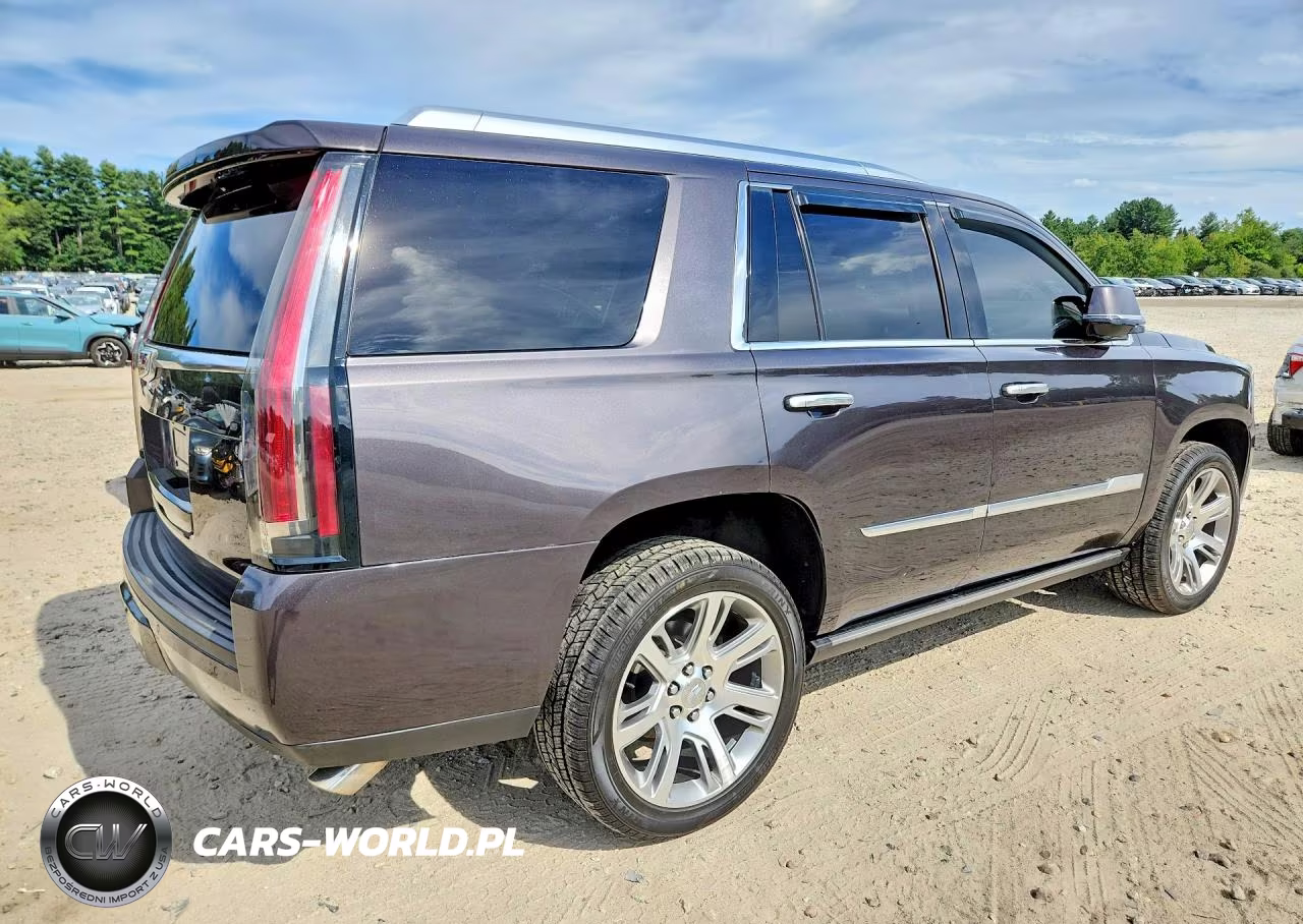 2016 Cadillac Escalade Premium VIN:1GYS4CKJ0GR441468 - 3