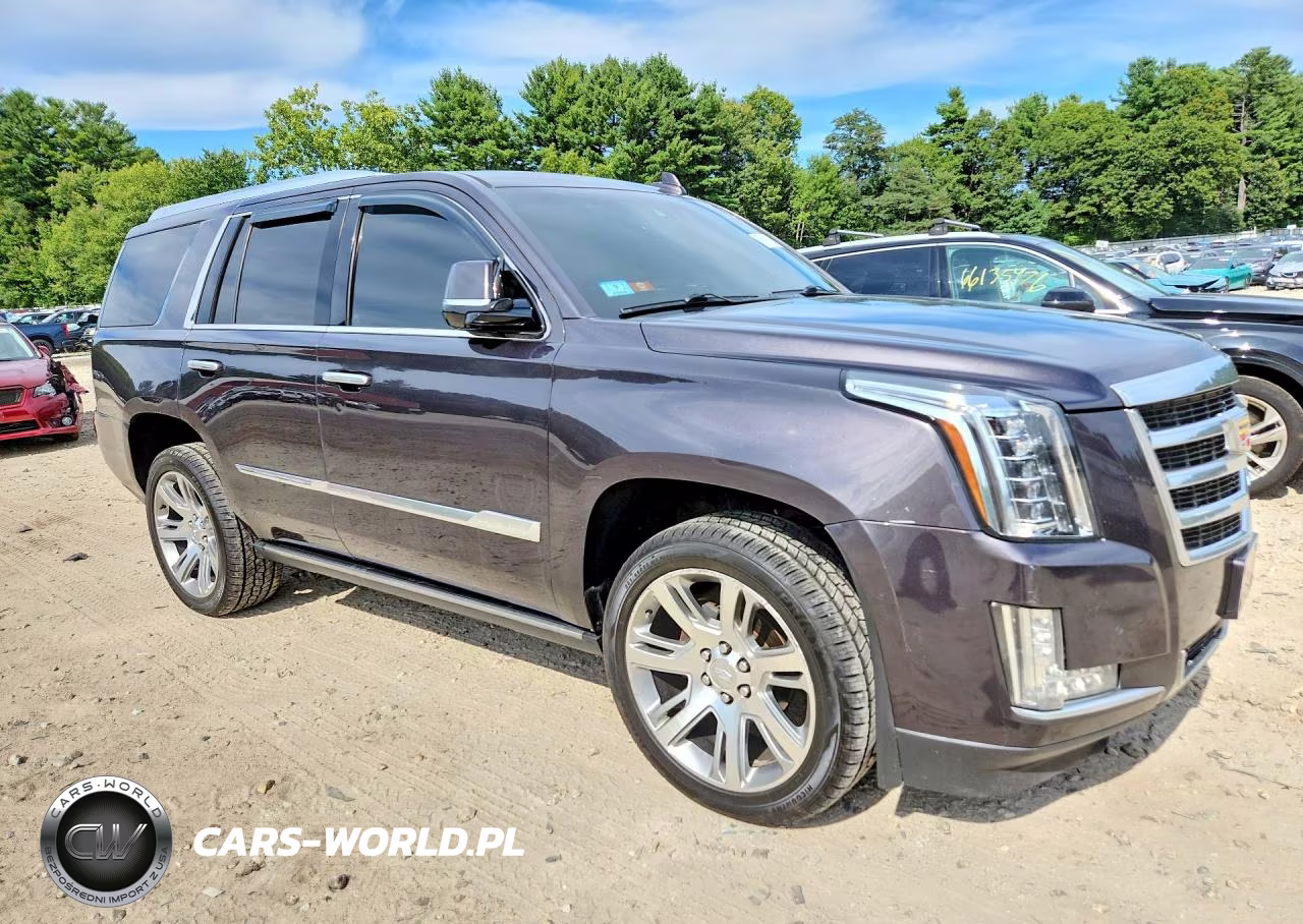 2016 Cadillac Escalade Premium VIN:1GYS4CKJ0GR441468 - 4