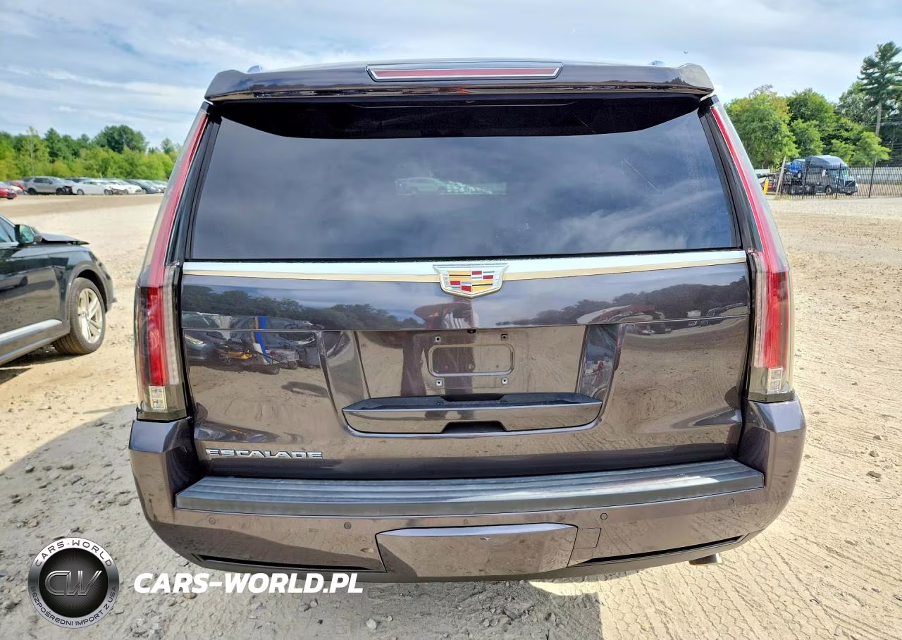 2016 Cadillac Escalade Premium VIN:1GYS4CKJ0GR441468 - 6
