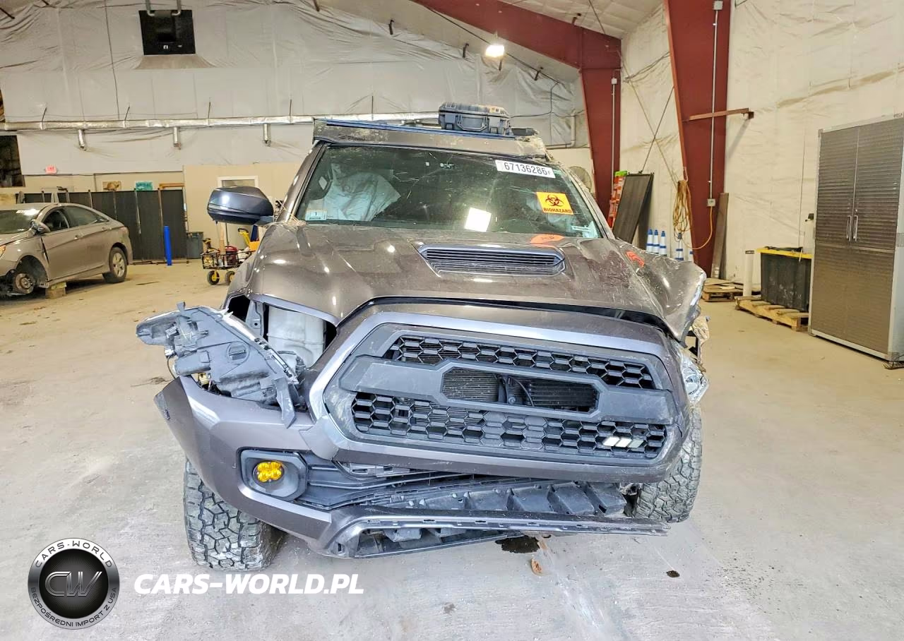 2017 Toyota Tacoma Sr5 V6 VIN:5TFDZ5BN1HX021293 - 5