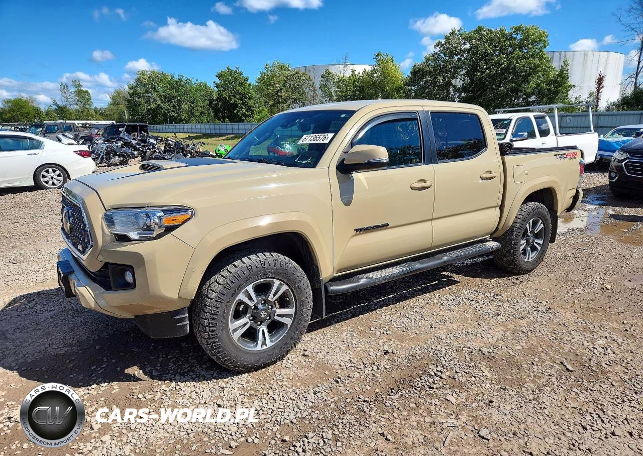 2019 Toyota Tacoma Trd Sport VIN:3TMCZ5AN1KM259557 - 1