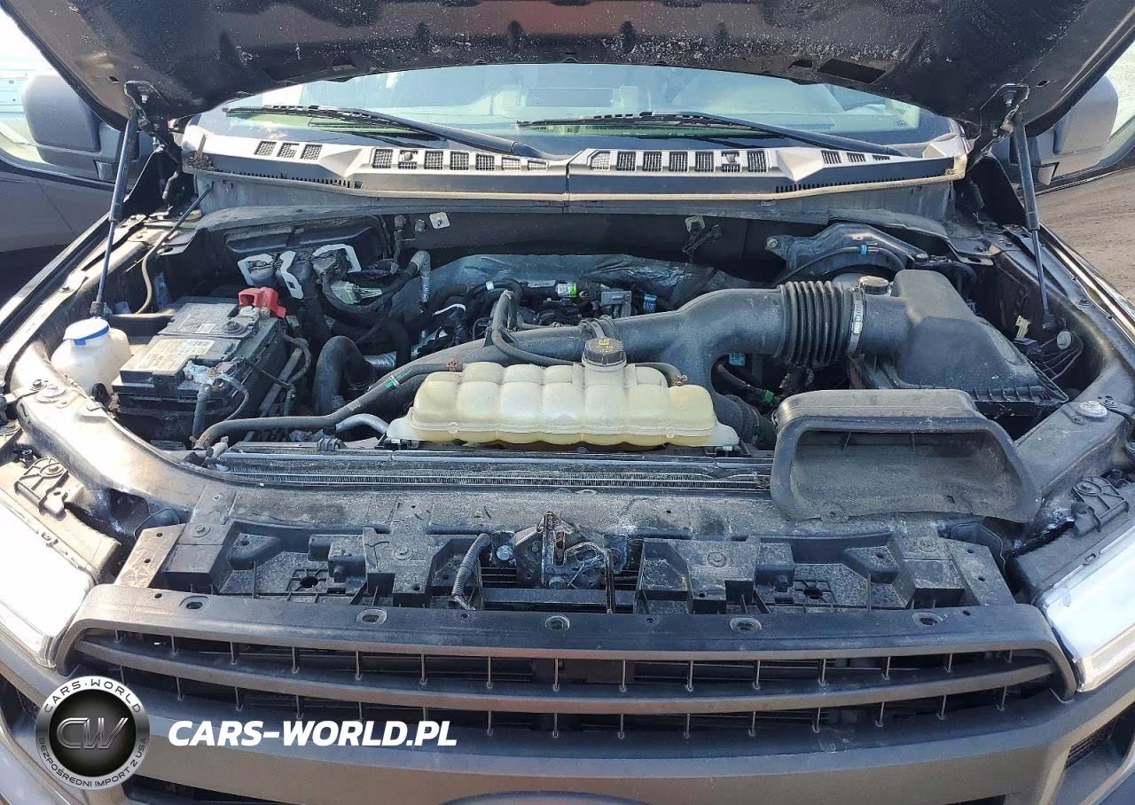 2020 Ford F150 Supercrew VIN:1FTEW1EP5LFA83202 - 11