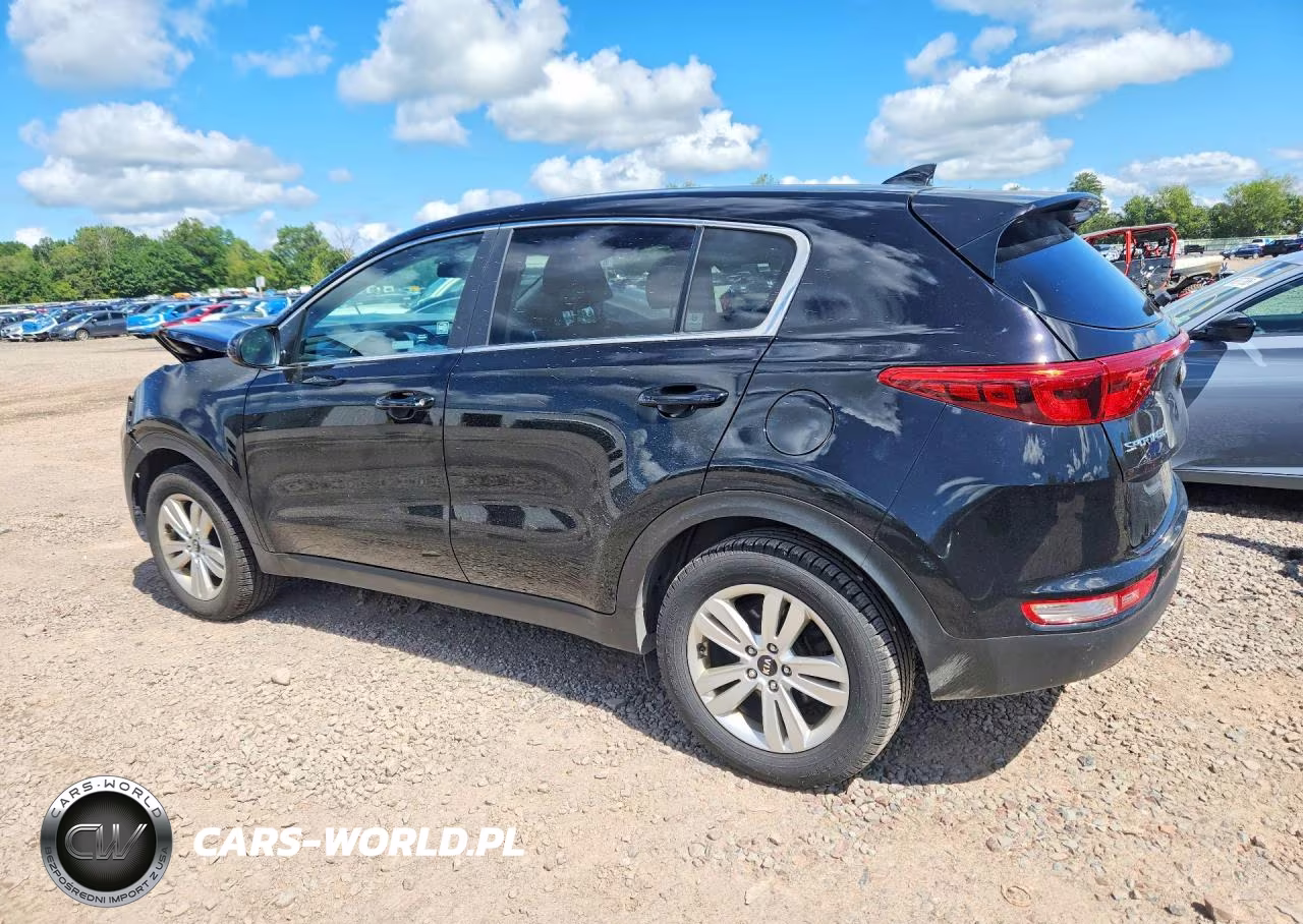 2019 Kia Sportage Lx VIN:KNDPMCAC1K7602459 - 2