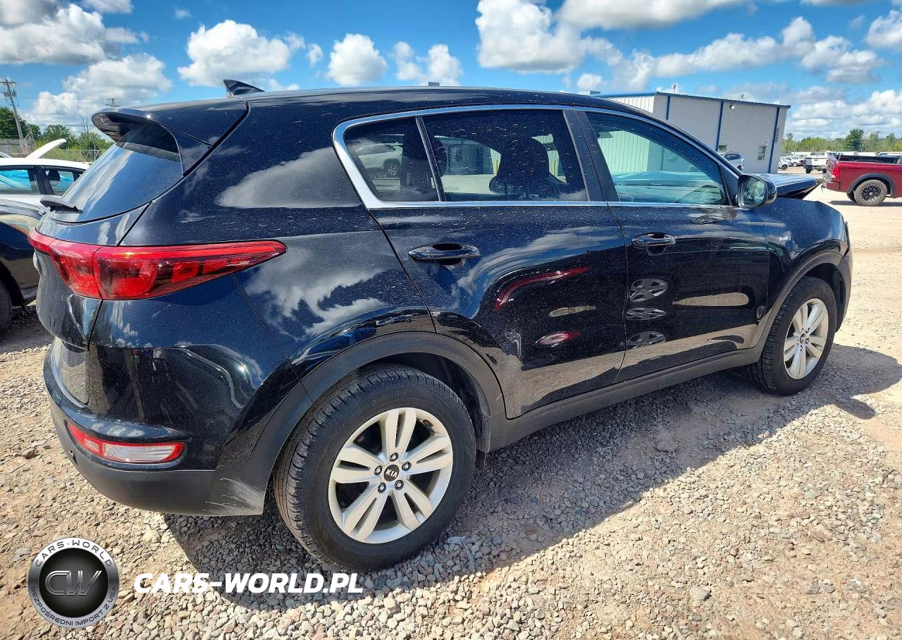 2019 Kia Sportage Lx VIN:KNDPMCAC1K7602459 - 3