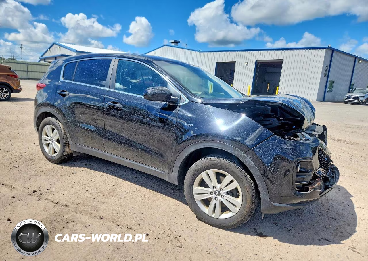 2019 Kia Sportage Lx VIN:KNDPMCAC1K7602459 - 4