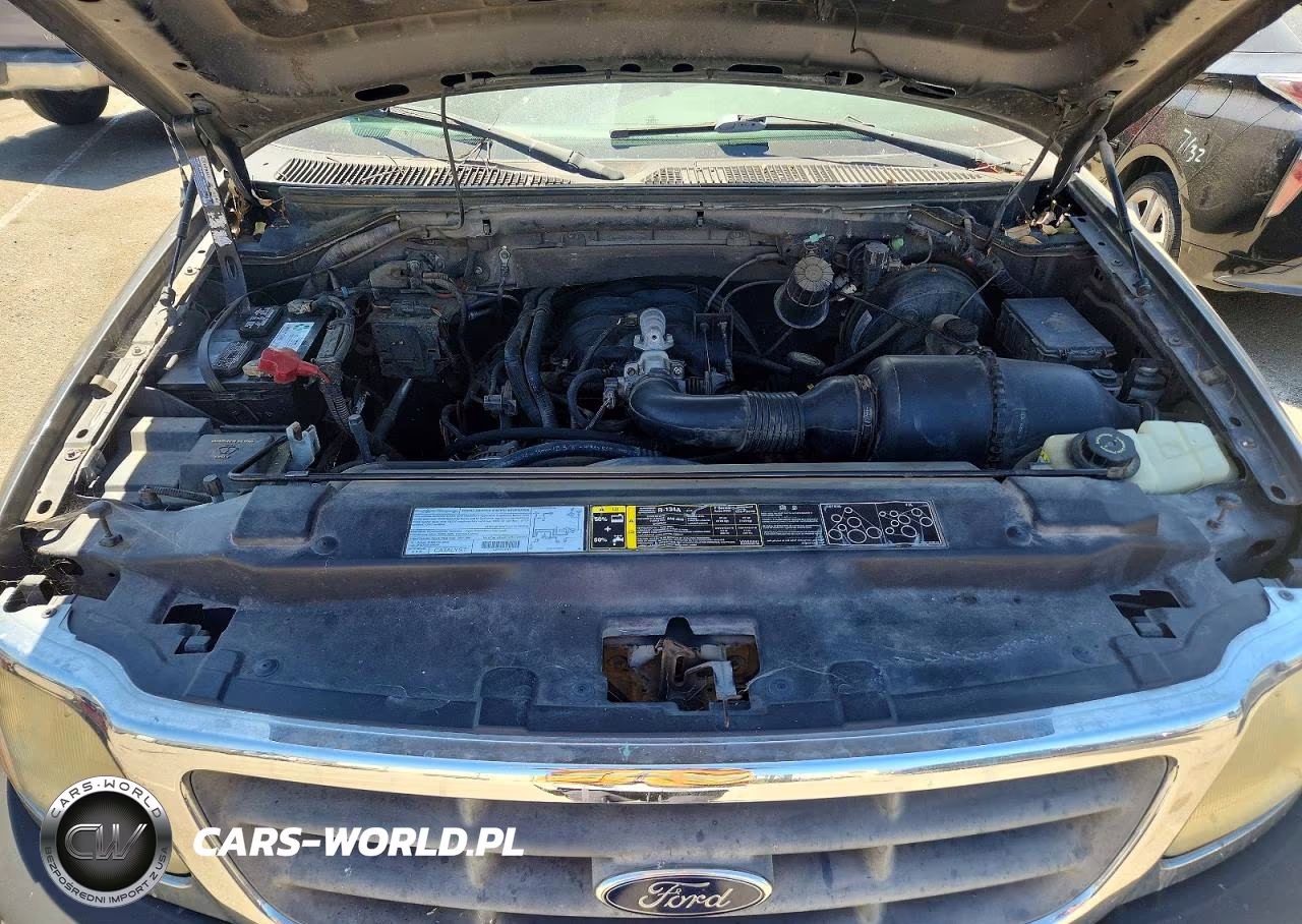 2003 Ford F150 VIN:1FTRX17213NA99497 - 11