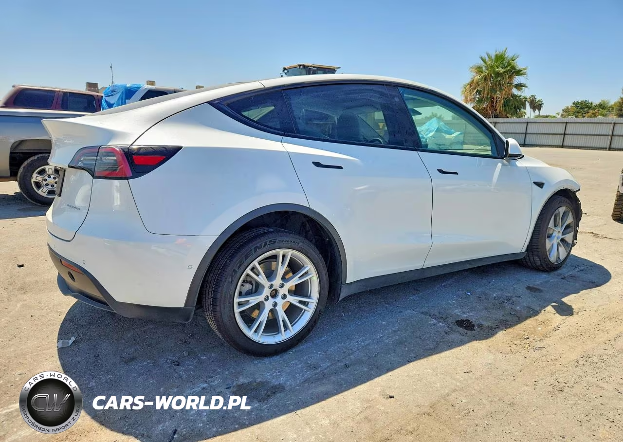 2022 Tesla Model Y VIN:7SAYGDEE6NF438415 - 3