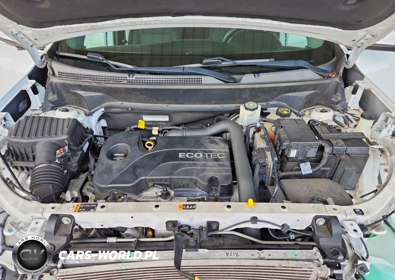 2019 Chevrolet Equinox Lt VIN:3GNAXKEV3KS519546 - 12