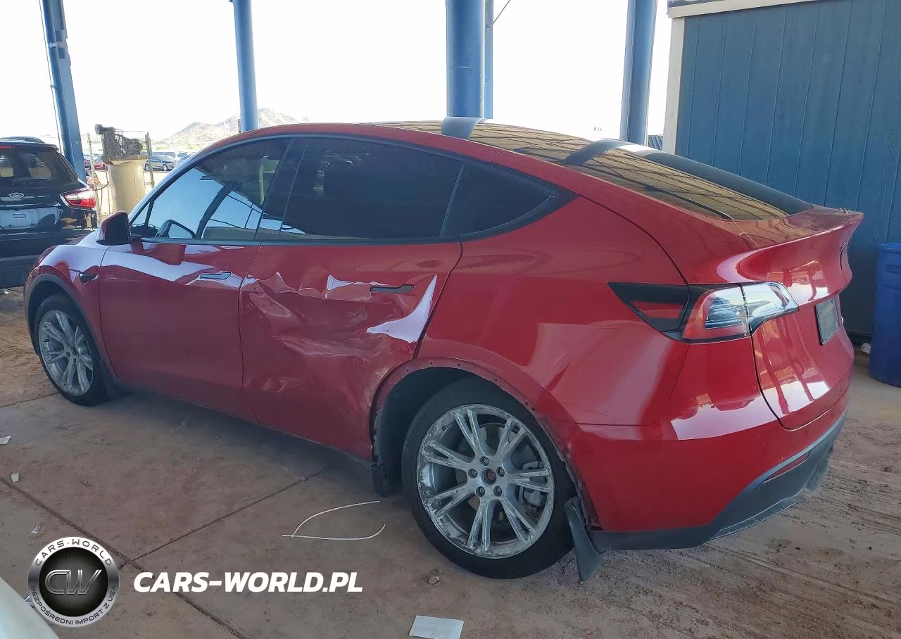 2023 Tesla Model Y VIN:7SAYGDEE3PA113334 - 2