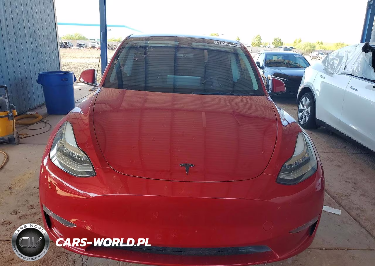 2023 Tesla Model Y VIN:7SAYGDEE3PA113334 - 5