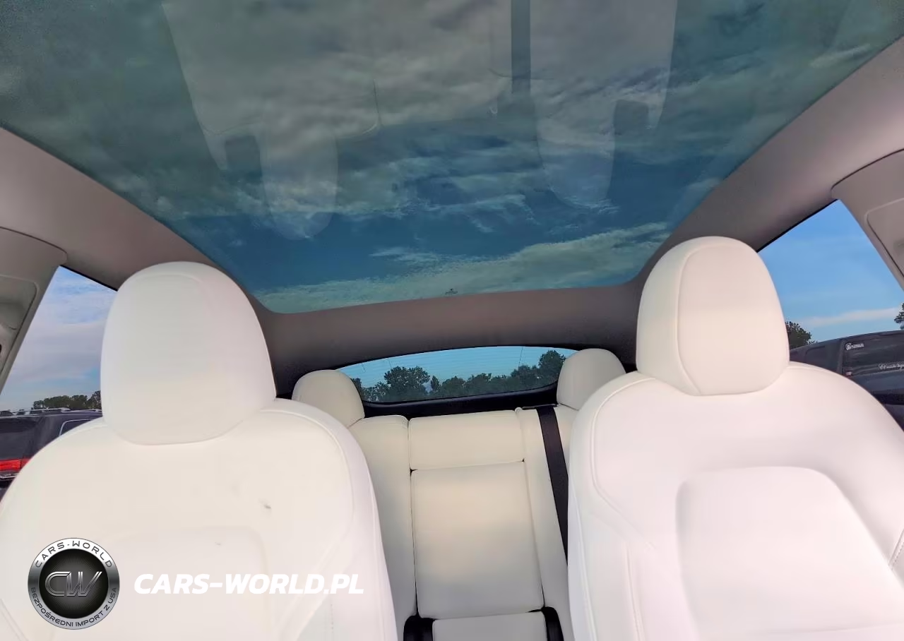 2023 Tesla Model Y VIN:7SAYGDEE0PA205789 - 10