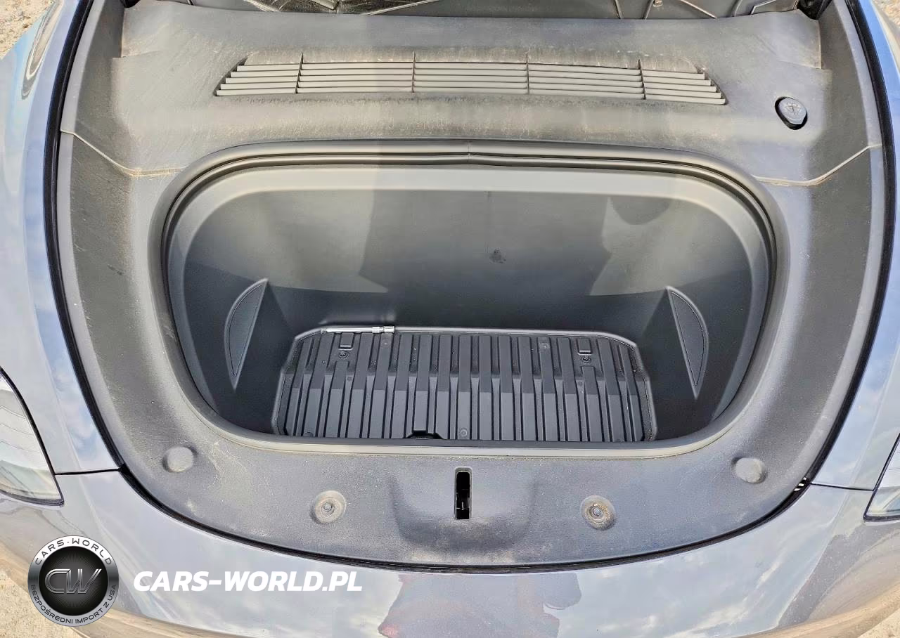 2023 Tesla Model Y VIN:7SAYGDEE0PA205789 - 12