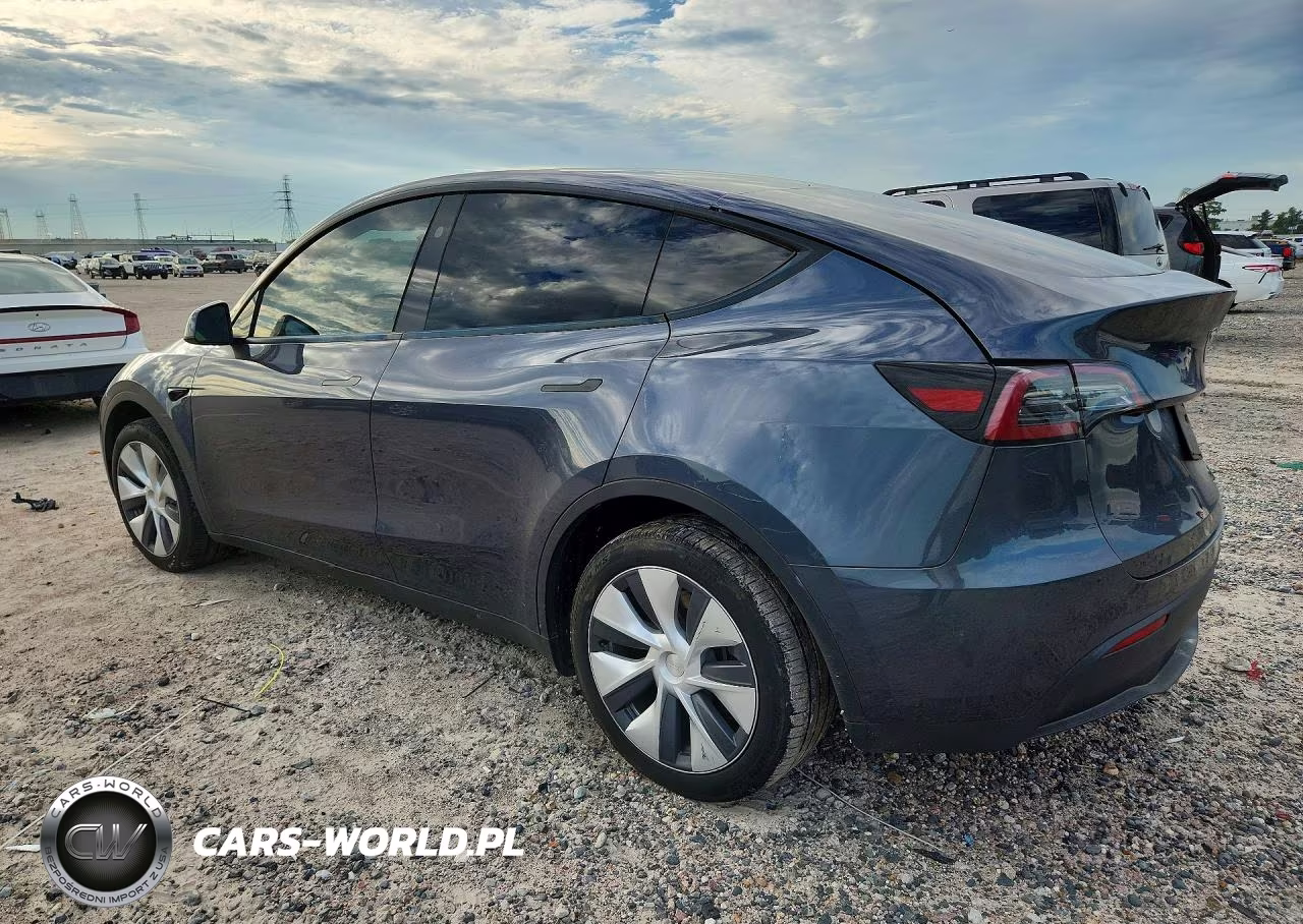 2023 Tesla Model Y VIN:7SAYGDEE0PA205789 - 2