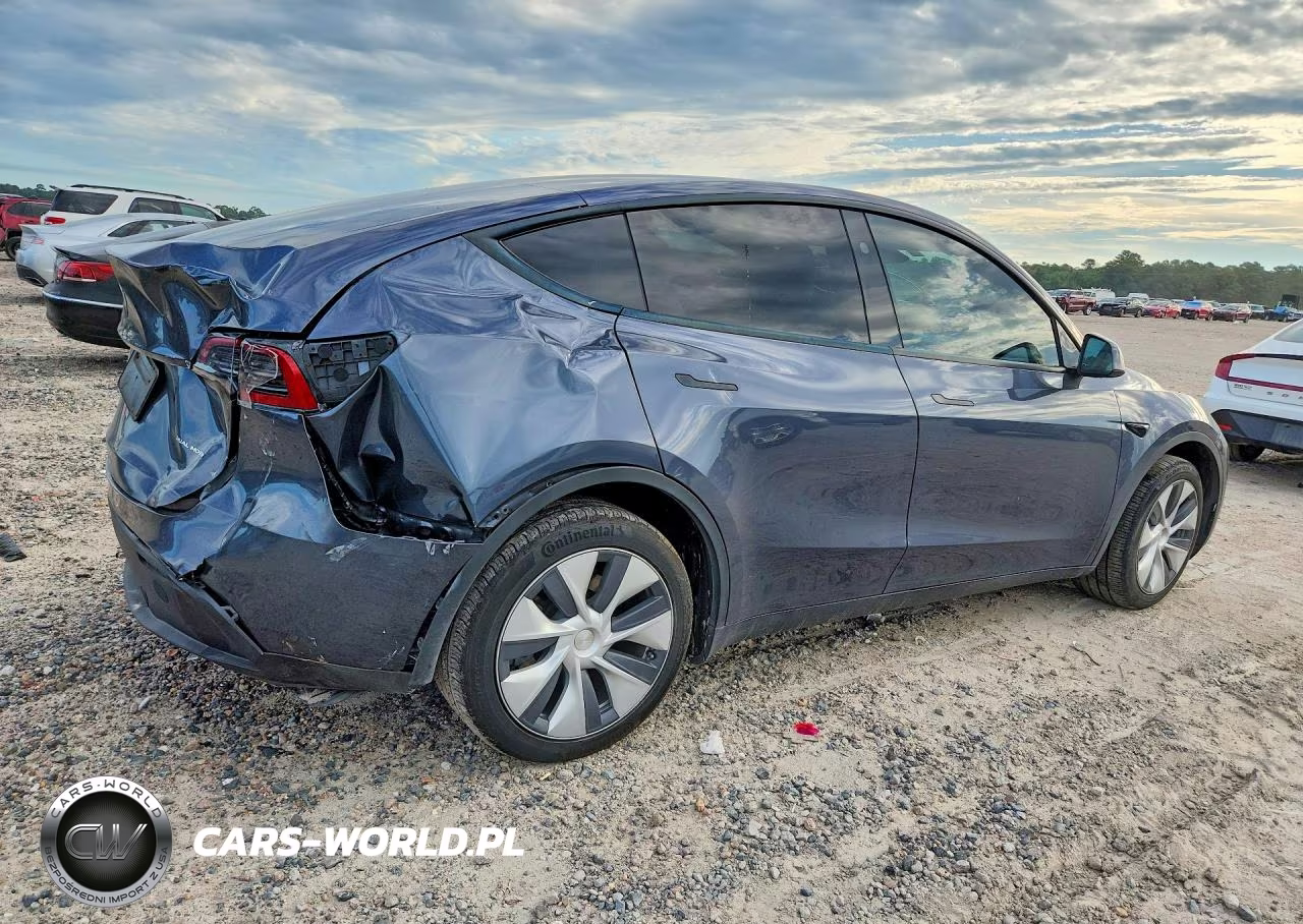 2023 Tesla Model Y VIN:7SAYGDEE0PA205789 - 3