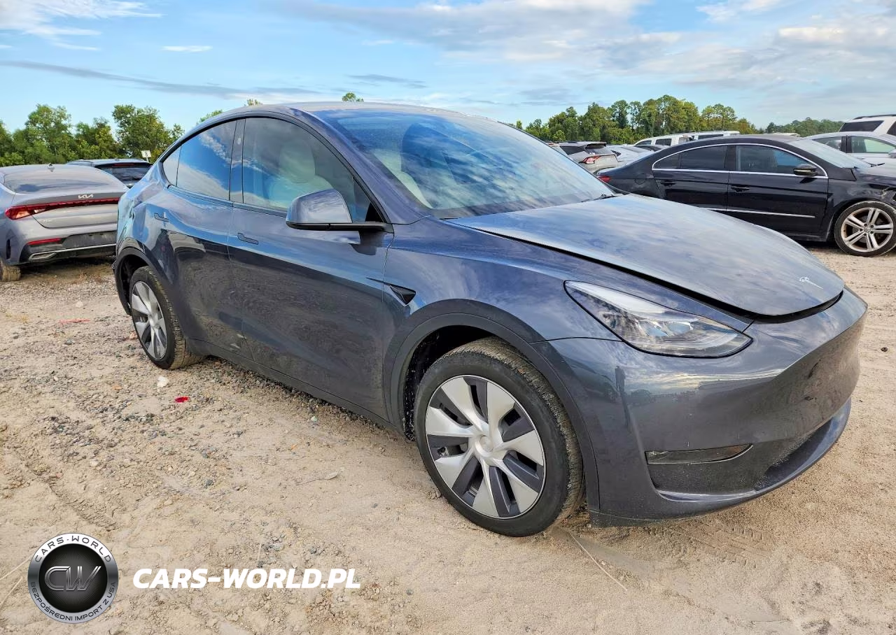 2023 Tesla Model Y VIN:7SAYGDEE0PA205789 - 4