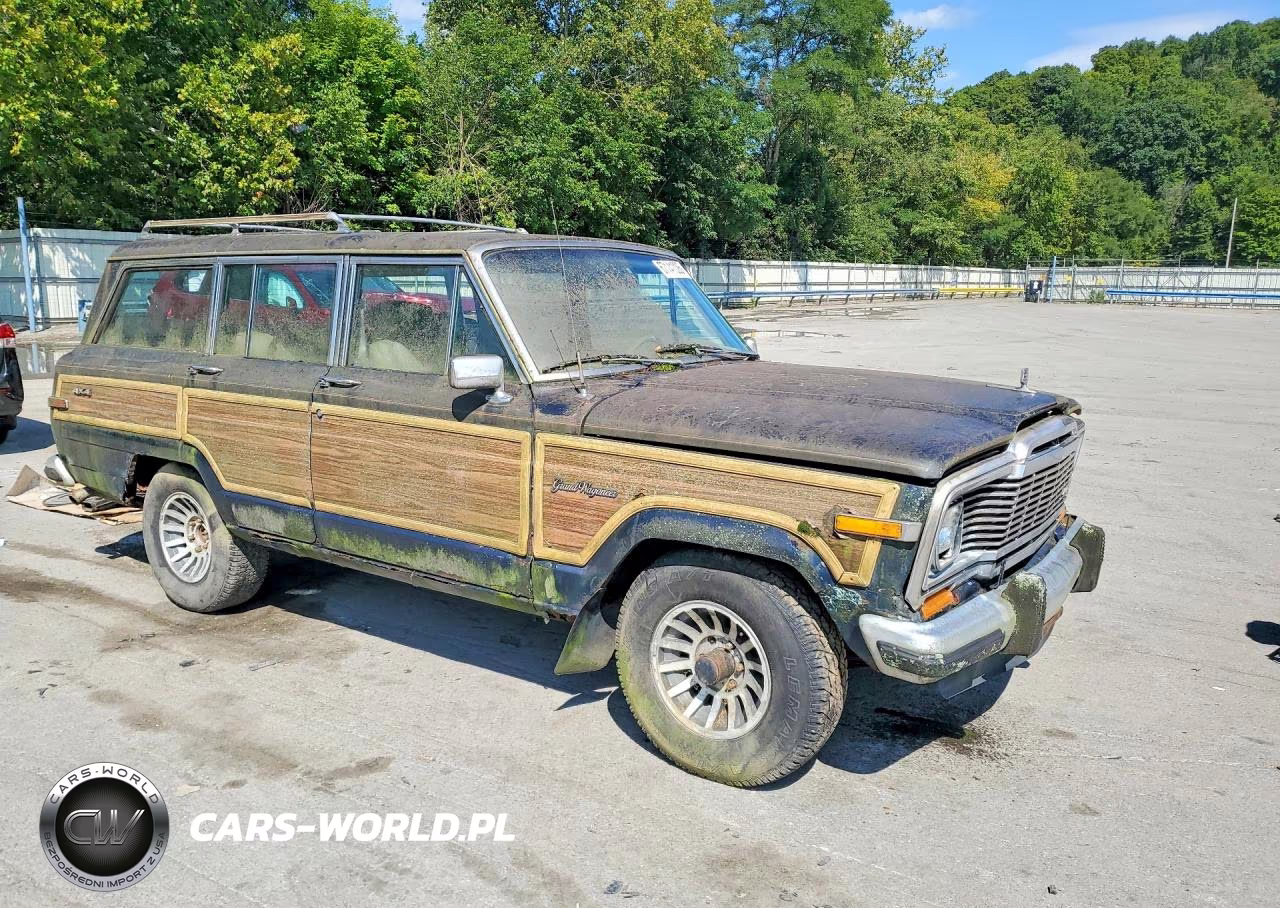 1989 Jeep Grand Wagoneer VIN:1J4GS5878KP108622 - 5