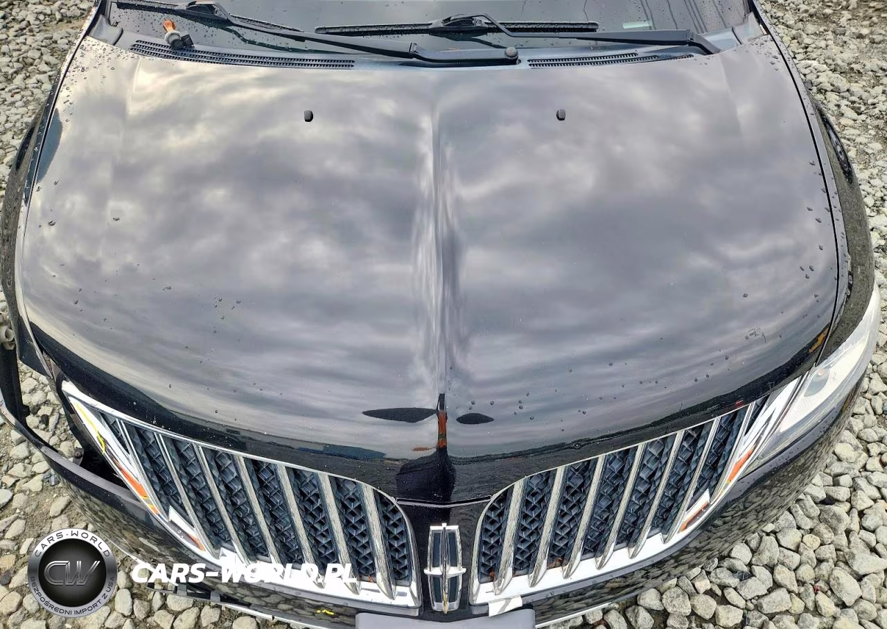 2014 Lincoln Mkx VIN:2LMDJ8JK7EBL12142 - 11