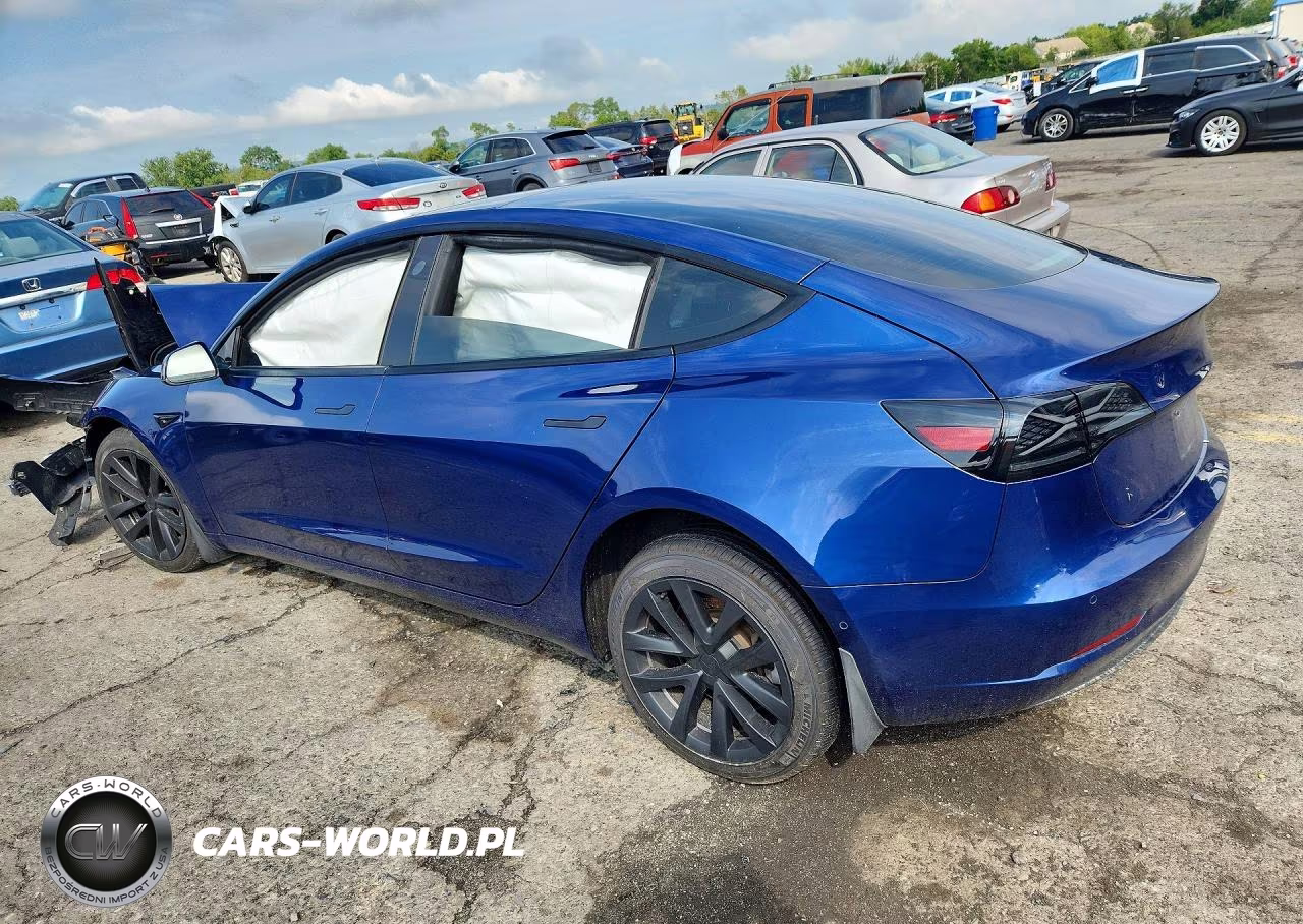 2021 Tesla Model 3 VIN:5YJ3E1EB7MF081004 - 2
