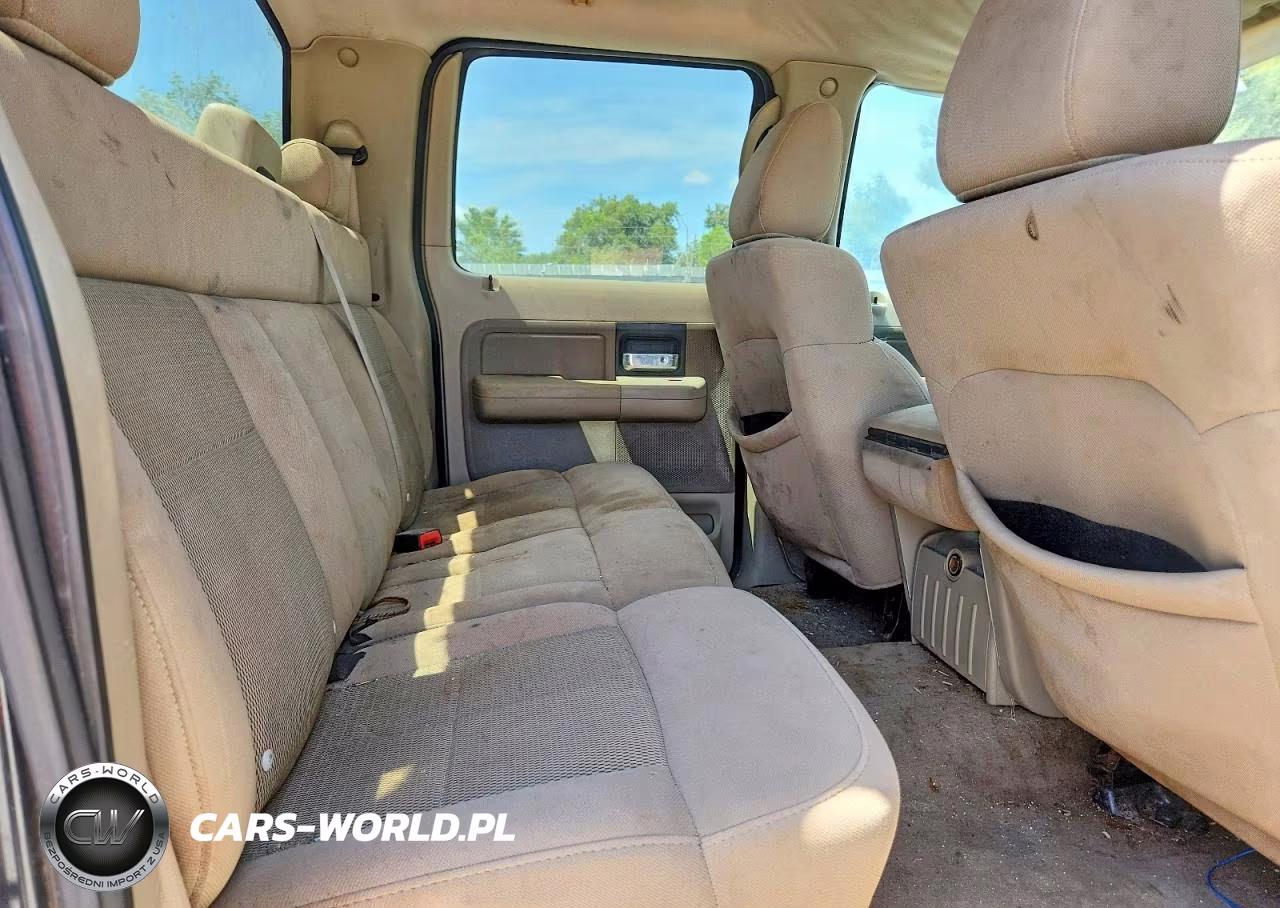 2006 Ford F150 Supercrew VIN:1FTRW12W66FB10408 - 10