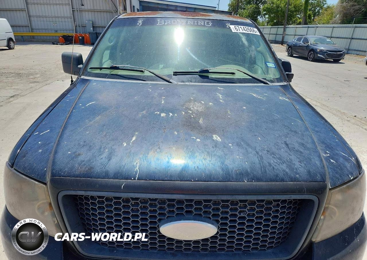 2006 Ford F150 Supercrew VIN:1FTRW12W66FB10408 - 11