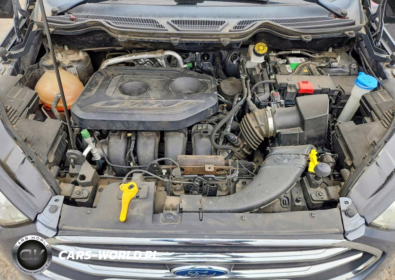 2018 Ford Ecosport Titanium VIN:MAJ6P1WL9JC206291 - 11
