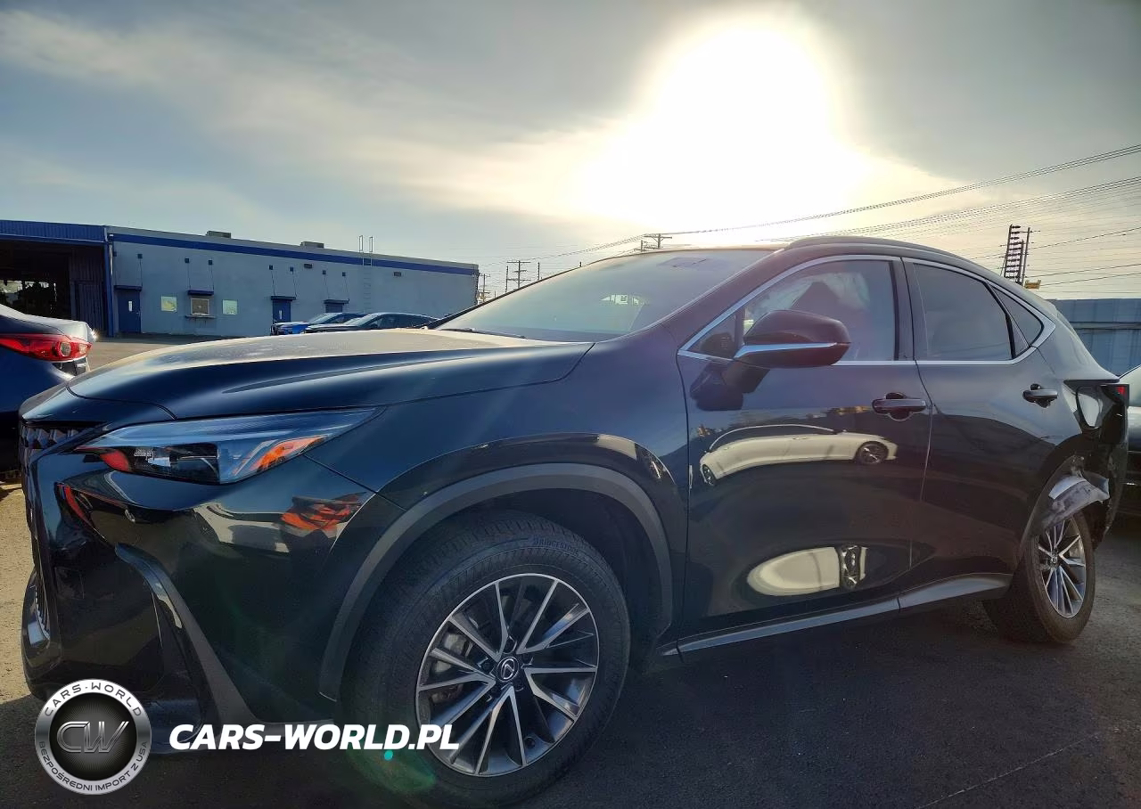 2024 Lexus Nx 350 Base VIN:JTJAGCEZ7R5009459 - 1