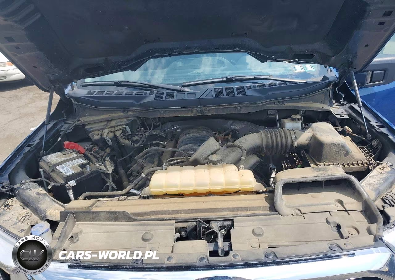 2023 Ford F150 Supercrew VIN:1FTFW1E52PKE53702 - 11