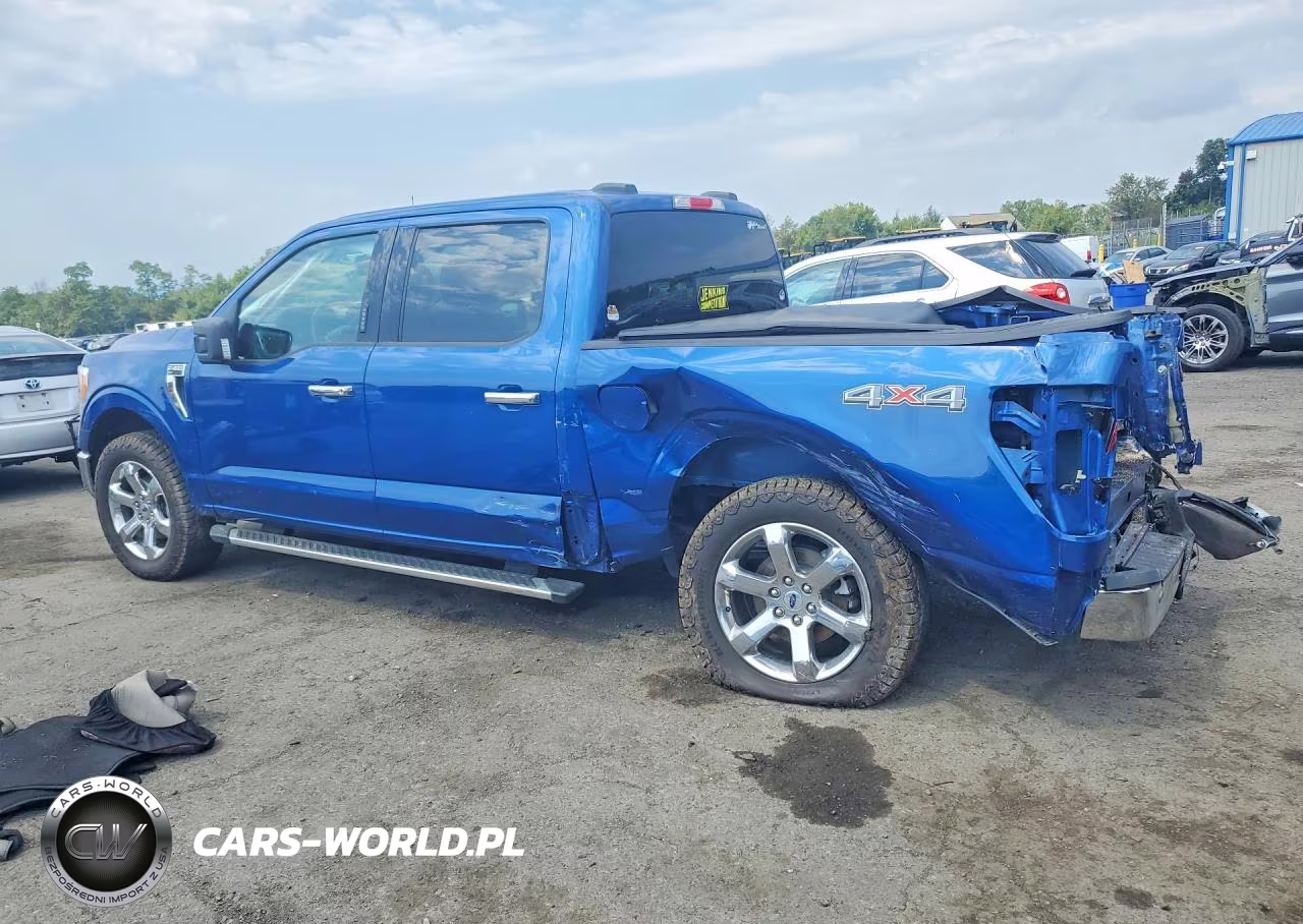 2023 Ford F150 Supercrew VIN:1FTFW1E52PKE53702 - 2