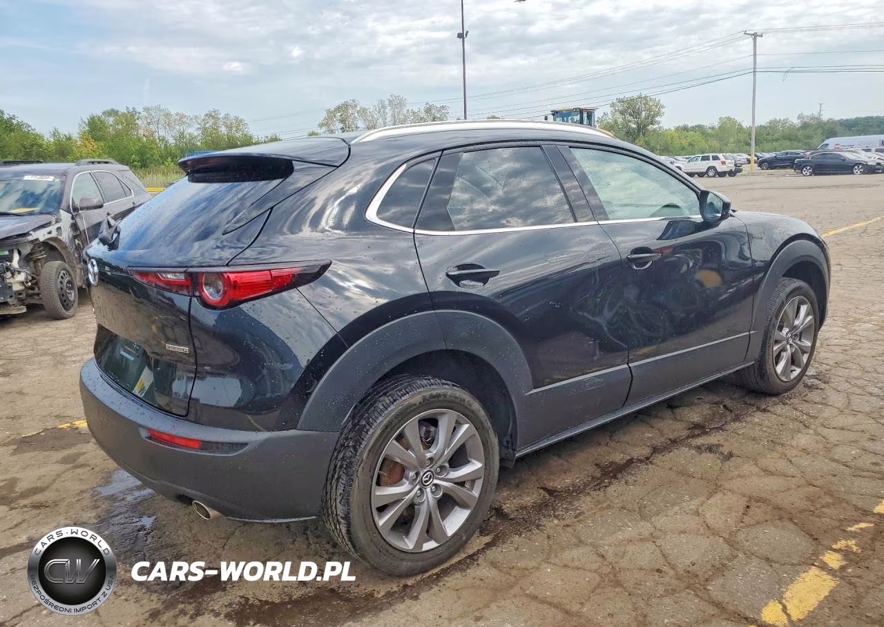 2022 Mazda Cx-30 Premium VIN:3MVDMBDL9NM450058 - 3