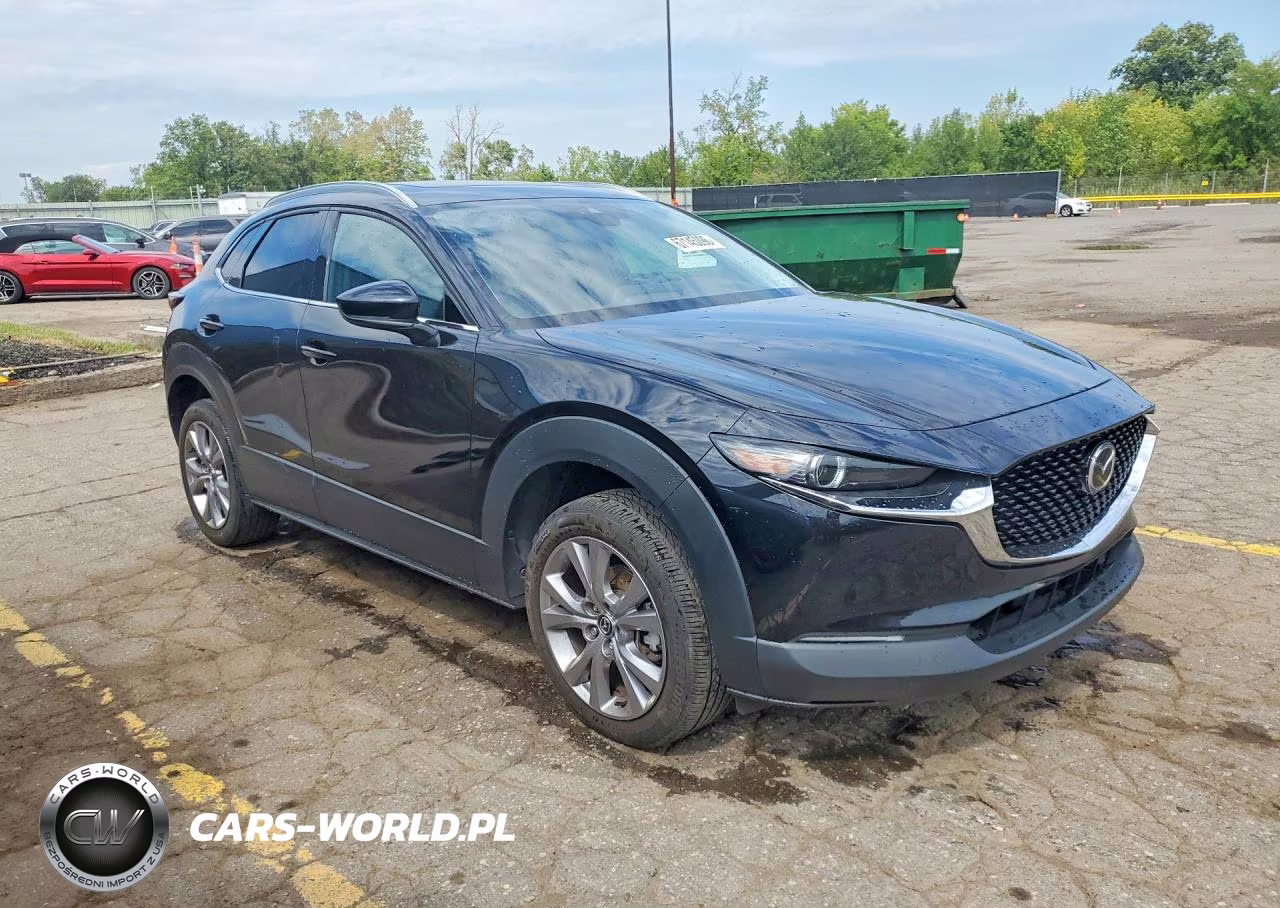 2022 Mazda Cx-30 Premium VIN:3MVDMBDL9NM450058 - 4